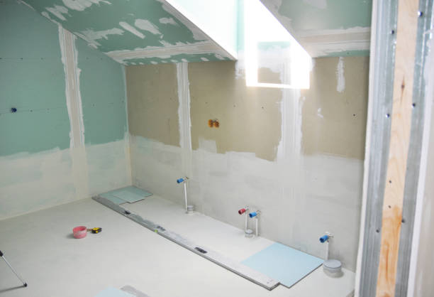 Best Mold Documentation for Insurance Claims  in Farngton Hills, MI