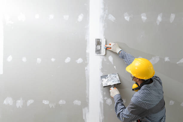 Best Air Quality Testing for Mold Spores  in Farngton Hills, MI