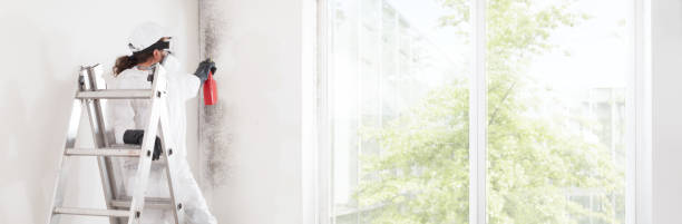 Best Mold-Related Health Consultation  in Farngton Hills, MI