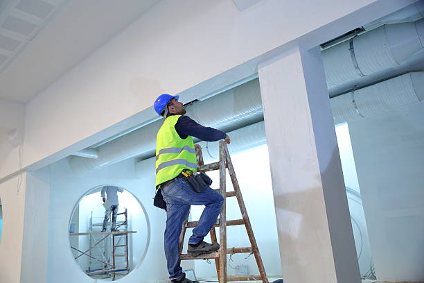 Best Airborne Mold Testing  in Farngton Hills, MI